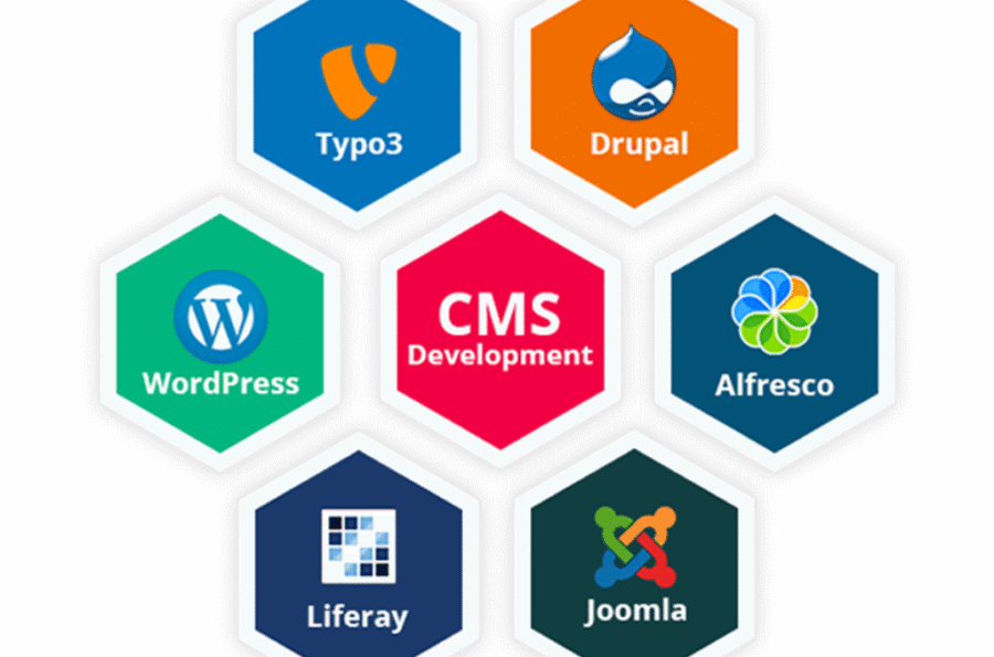 cms web dev